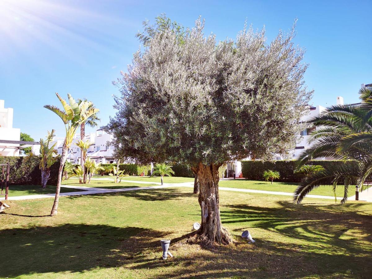 Appartement Condado De Alhama Jardin 13 1506